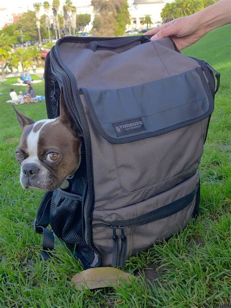 timbuk2 muttmover backpack reviews.